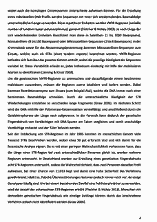 Vorschau Seite 6