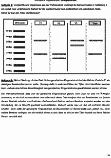 Vorschau Seite 26