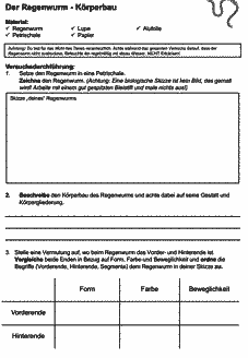 Vorschau Seite 7