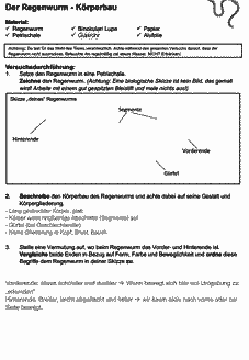 Vorschau Seite 8