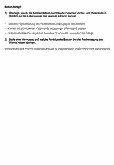 Vorschau Seite 12