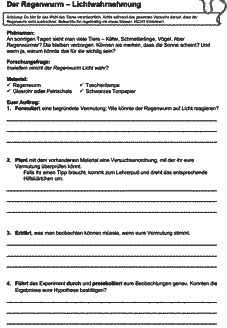 Vorschau Seite 13
