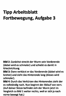 Vorschau Seite 16