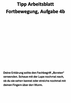 Vorschau Seite 17
