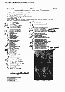 Vorschau Seite 13