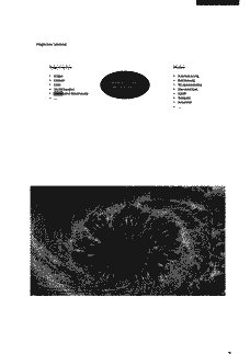Vorschau Seite 8