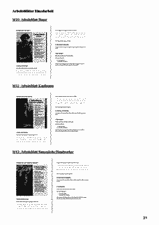 Vorschau Seite 21