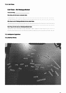 Vorschau Seite 13