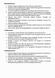 Vorschau Seite 4