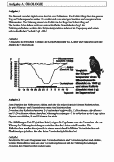 Vorschau Seite 2