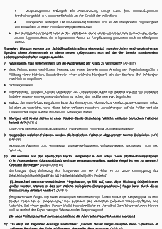 Vorschau Seite 5