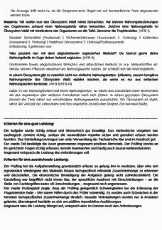 Vorschau Seite 6