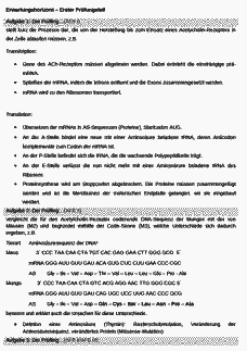 Vorschau Seite 1