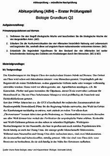 Vorschau Seite 1