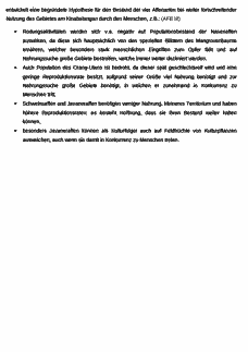 Vorschau Seite 2