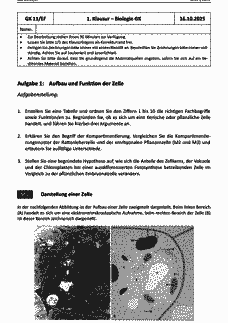 Vorschau Seite 1
