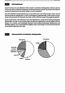 Vorschau Seite 2