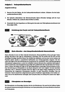 Vorschau Seite 3