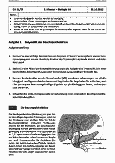 Vorschau Seite 1