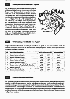 Vorschau Seite 2