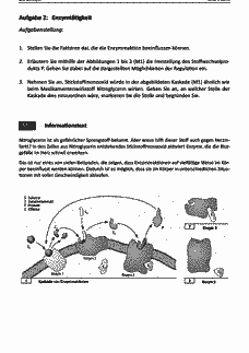 Vorschau Seite 3