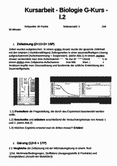 Vorschau Seite 1