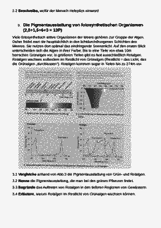 Vorschau Seite 2