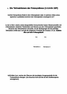 Vorschau Seite 3