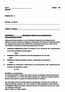 Vorschau Seite 1