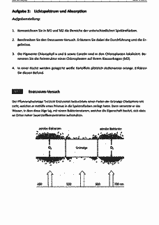 Vorschau Seite 4