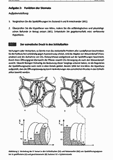 Vorschau Seite 3