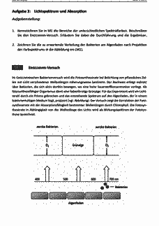 Vorschau Seite 4