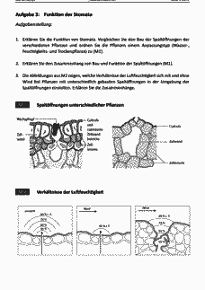 Vorschau Seite 4