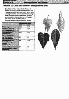 Vorschau Seite 3