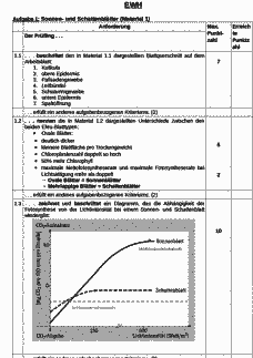 Vorschau Seite 1
