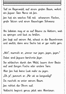 Vorschau Seite 1