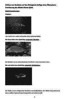 Vorschau Seite 4