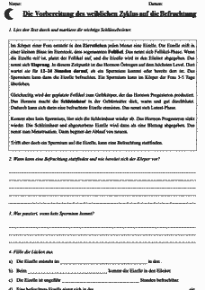Vorschau Seite 1