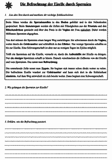 Vorschau Seite 2