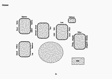 Vorschau Seite 21