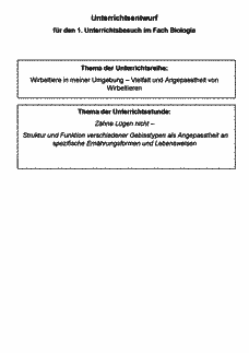 Vorschau Seite 1