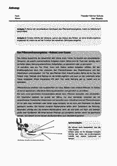 Vorschau Seite 8
