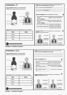 Vorschau Seite 8