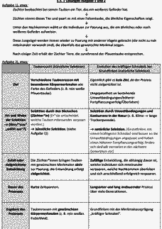 Vorschau Seite 12