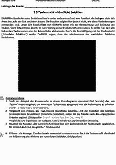 Vorschau Seite 14