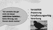 Vorschau Seite 19