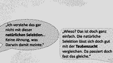 Vorschau Seite 20