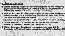 Vorschau Seite 21