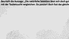 Vorschau Seite 22