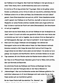 Vorschau Seite 1